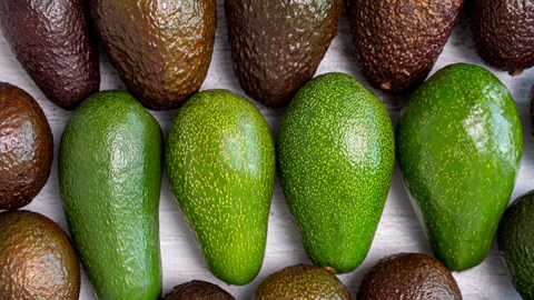 Fruit Service Collective ökar kylförvaringskapaciteten